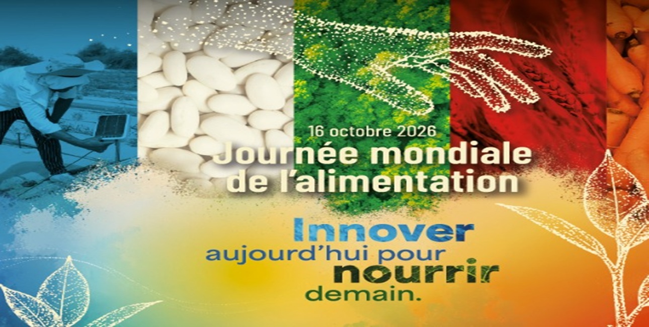Journée mondiale de l’alimentation 2026: au Maroc, nourrir mieux devient un impératif de santé publique