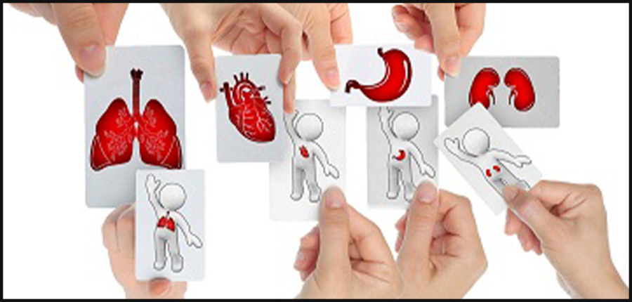 على المغرب الاستفادة من النموذج الإسباني الرائد العالمي في التبرع بالأعضاء